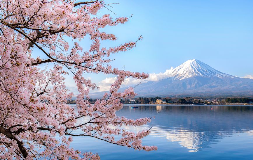 Japan — the destination that consistently exceeds expectations